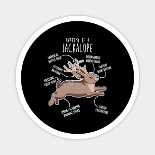 Jackalope Anatomy Magnet